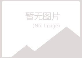 兴山县藏心工程有限公司